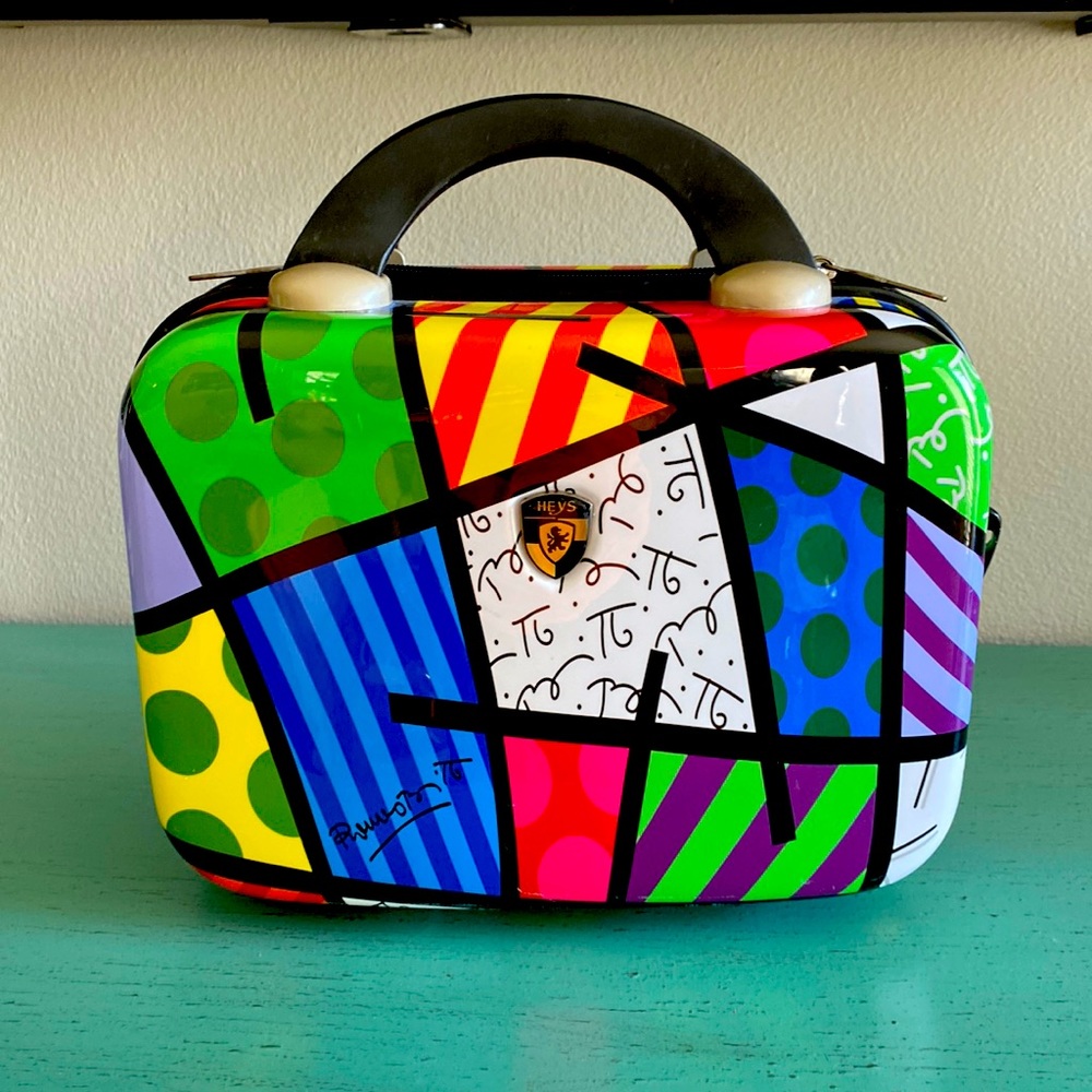 Hays Britto hard “Landscape” beauty case